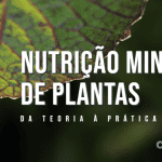 Nutrição mineral de plantas: 5 conceitos que ligam teoria à prática