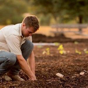 Reconhecimento profissional no agro: principais pontos para construir