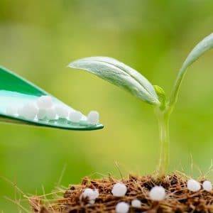 Fertilizantes: Tipos, funções e como fazer seu manejo na lavoura