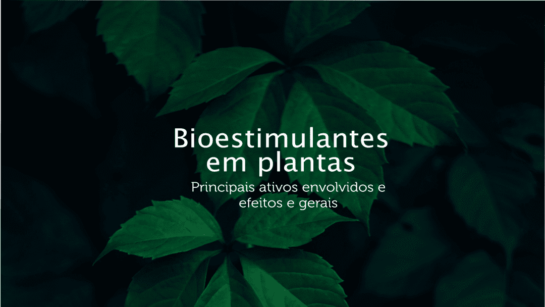 Capa - Bioestimulantes em plantas