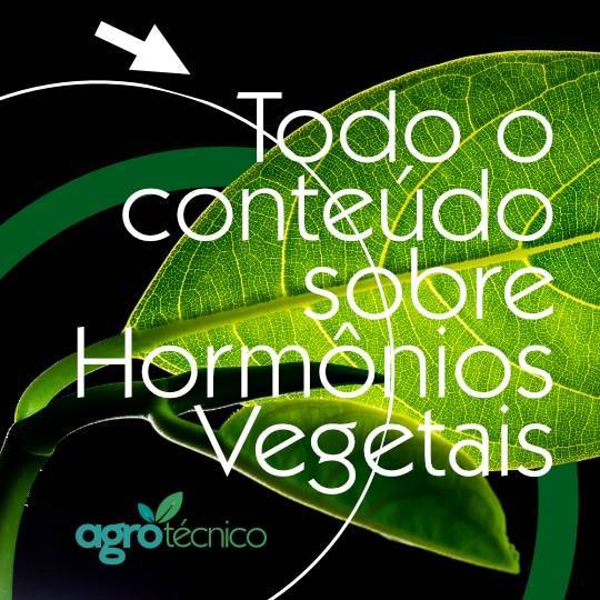 todos os conteúdos sobre Hormônios vegetais do Agrotécnico