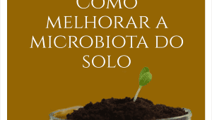 microbiologia do solo