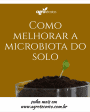 microbiologia do solo