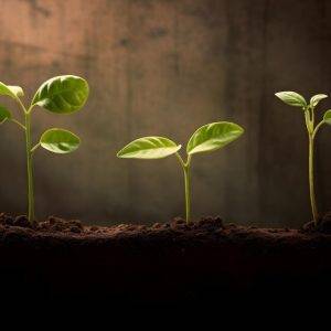 Reguladores naturais de crescimento vegetal
